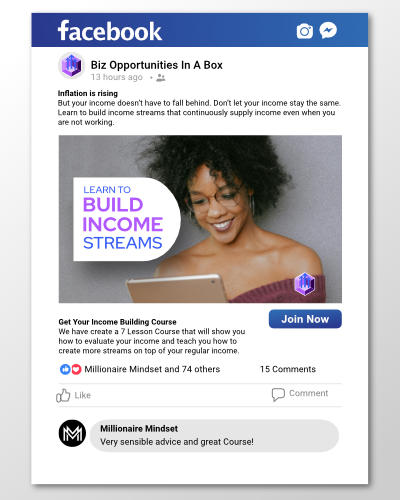 BizOpps Facebook Ad