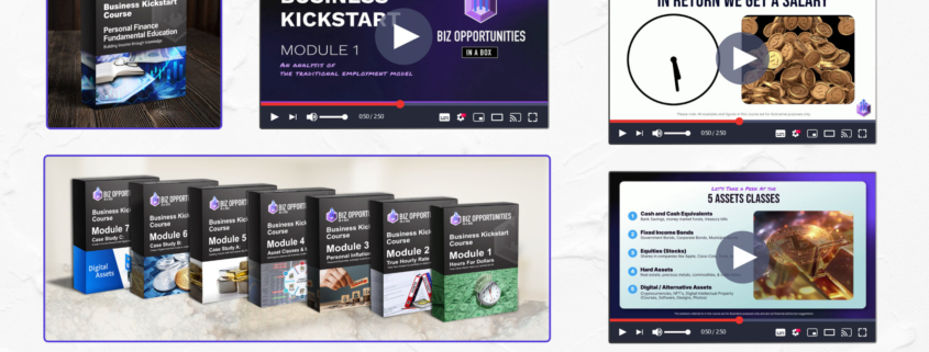 Portfolio: BizOpps Video Course
