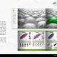 Print Design: Alice Umbrellas